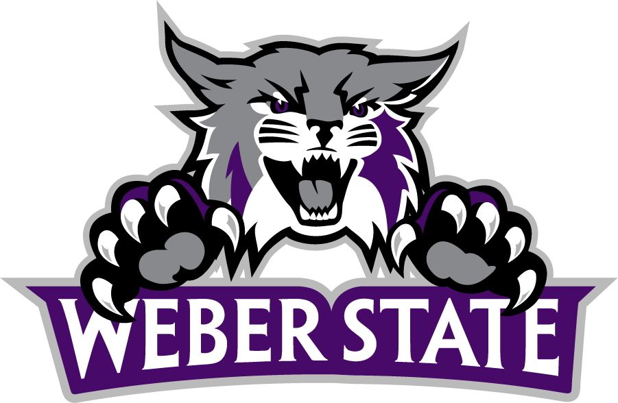 Weber State Wildcats 2012-Pres Secondary Logo v5 iron on transfers for T-shirts